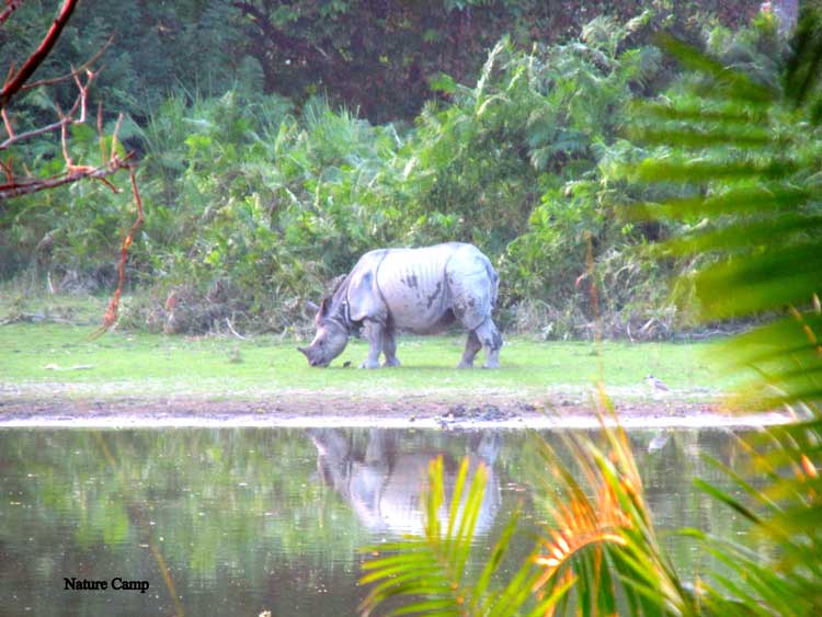 The Five Unique Wonders Of North East India